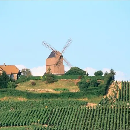 Apartament Avec Terrasse